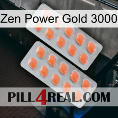 Zen Power Gold 3000 27